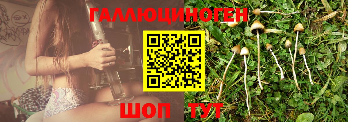 Великие Луки  Псилоцибиновые грибы GOLDEN TEACHER  Вход с VPN 